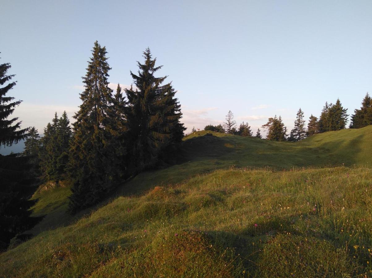 Leitnerhof Villa Niederau Buitenkant foto